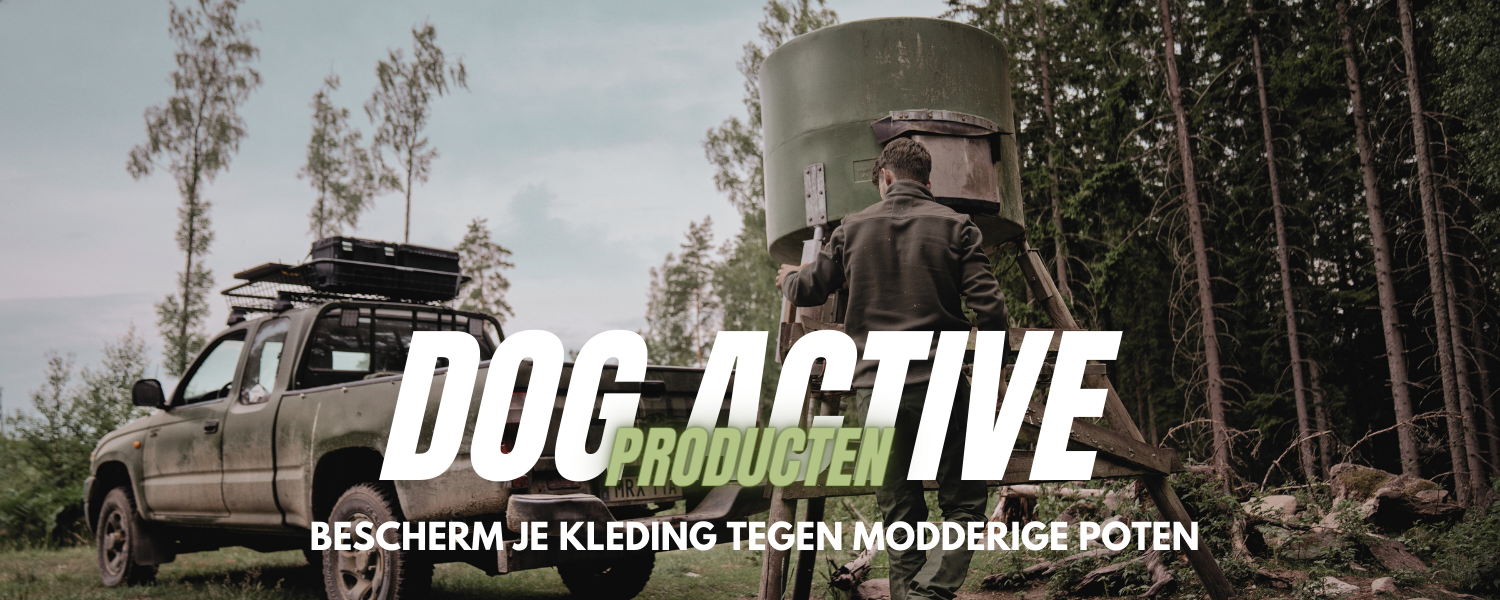Seeland Dog Active Seeland Dog Active