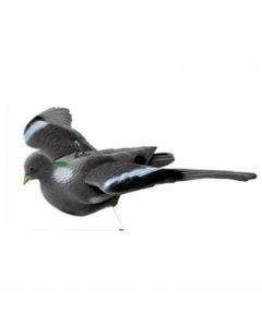 Invallende geflockte duif met vaste vleugels
