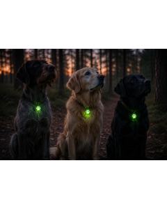 Nite Ize Petlit Paw Halsbandlamp Groen