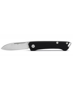 Buck Saunter Black Drop Point PE